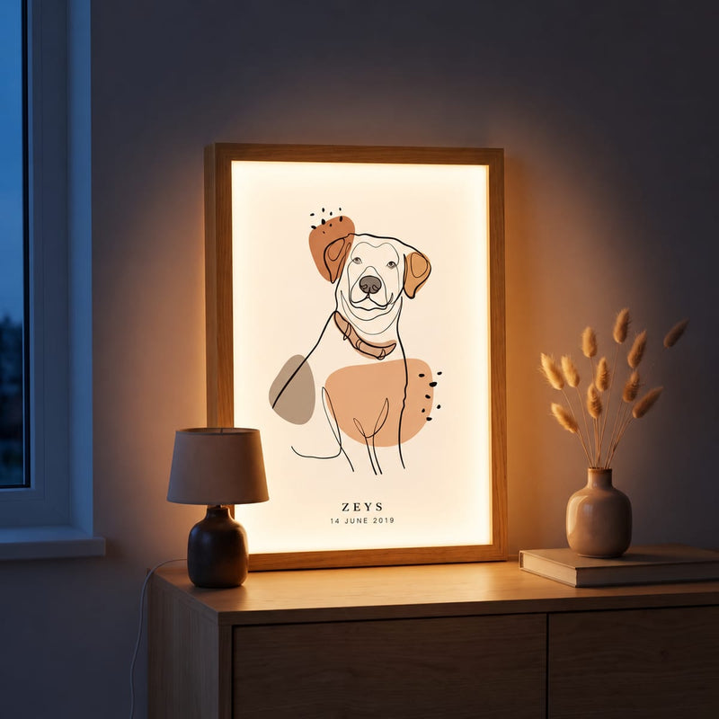 Lichtgevende lijst