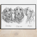 PetsPortrait Scribble Pet Portrait