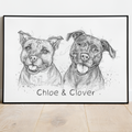 PetsPortrait Scribble Pet Portrait