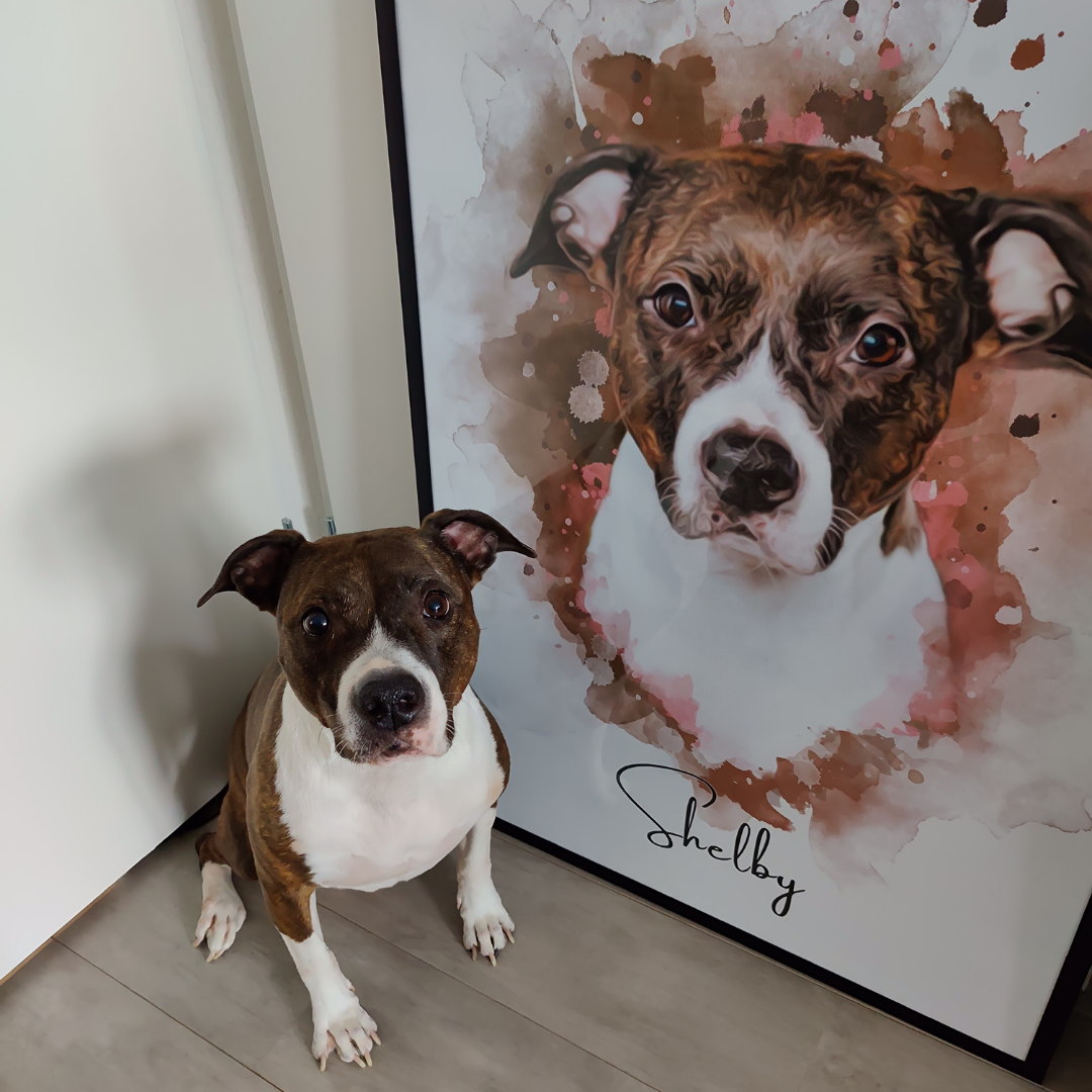 PetsPortrait Portrait d'animaux à l'aquarelle