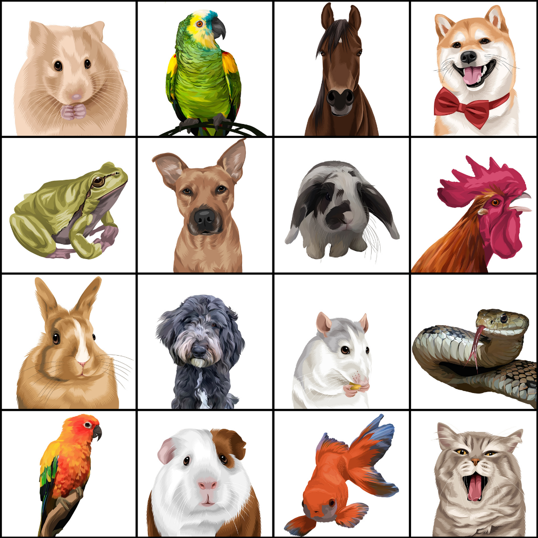 PetsPortrait Renaissance-Tierporträt