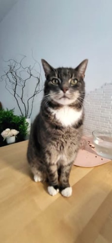 Foto van Esther K. met hun Waterverf-portret